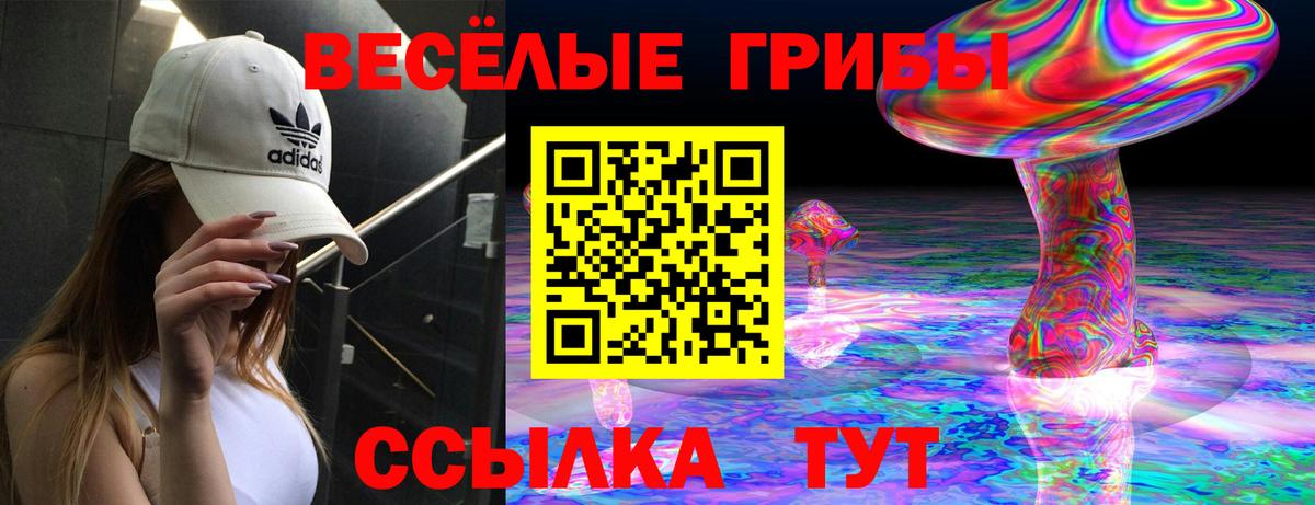 Великие Луки  Псилоцибиновые грибы GOLDEN TEACHER  Вход с VPN 